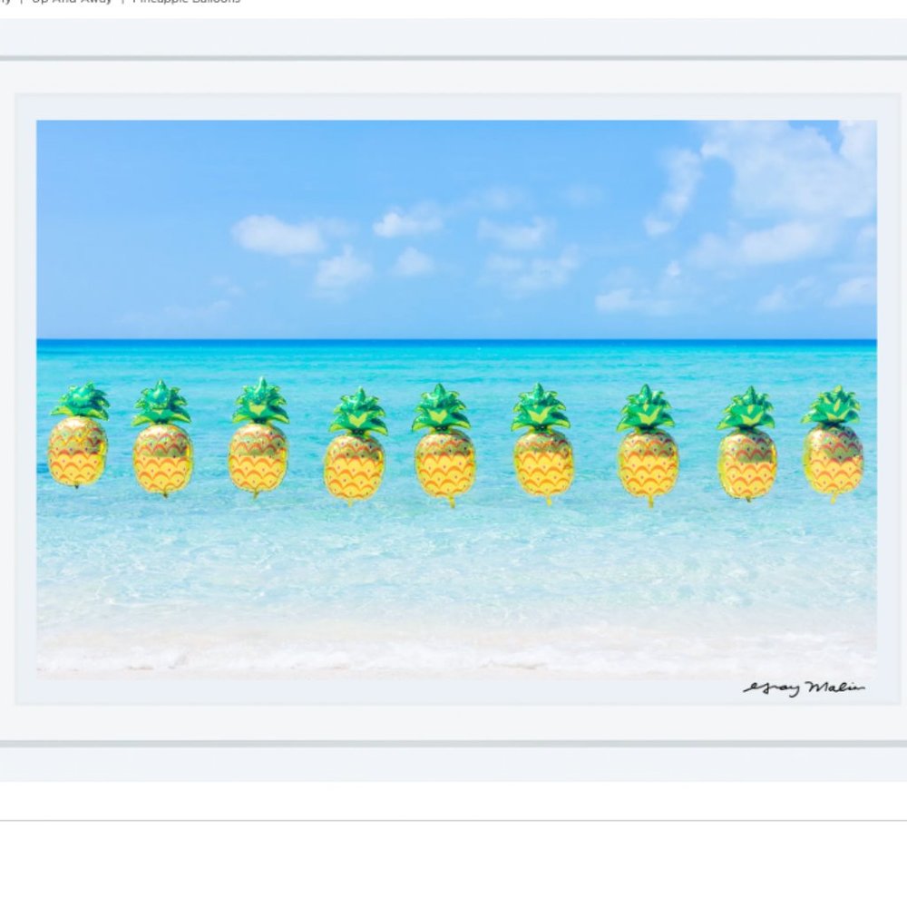 Authentic Gray Malin Pineapple Balloons Print White Framed 15.5 x 21"
